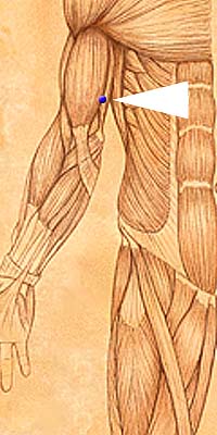 HE2 . Qing Ling