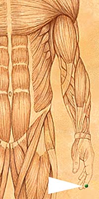 LI1 . Shang Yang