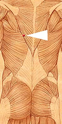BL45 . Yi Xi